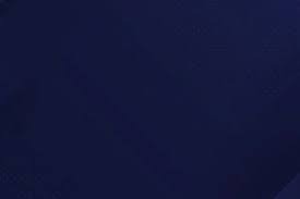 大山悠辅相隔三年再轰满贯炮 阪神封王仅一步之遥｜日职