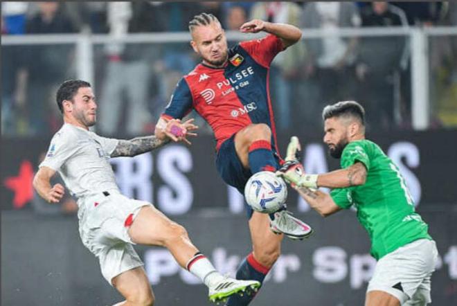 名会更高 名会更高